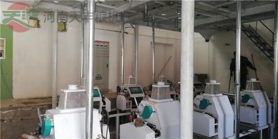 流言粉碎机 “全能保健品”能直降血糖？